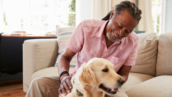 Senior man petting dog