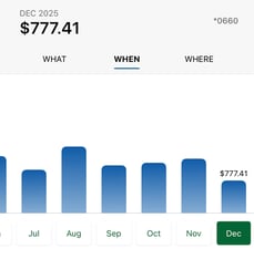 A graph of spending throughout a timeframe of months.