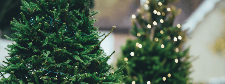 Controlling Holiday Spending