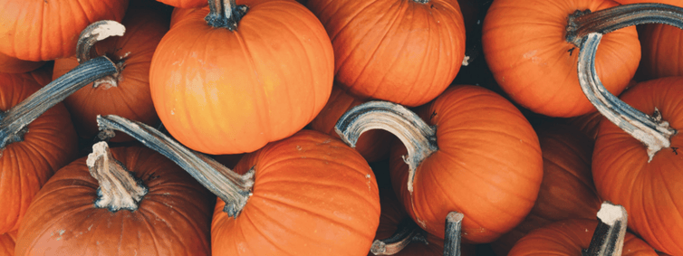 Scary Financial Tips Blog