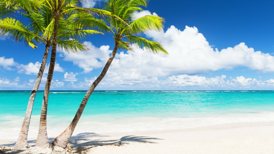 Beautiful beach with palm trees