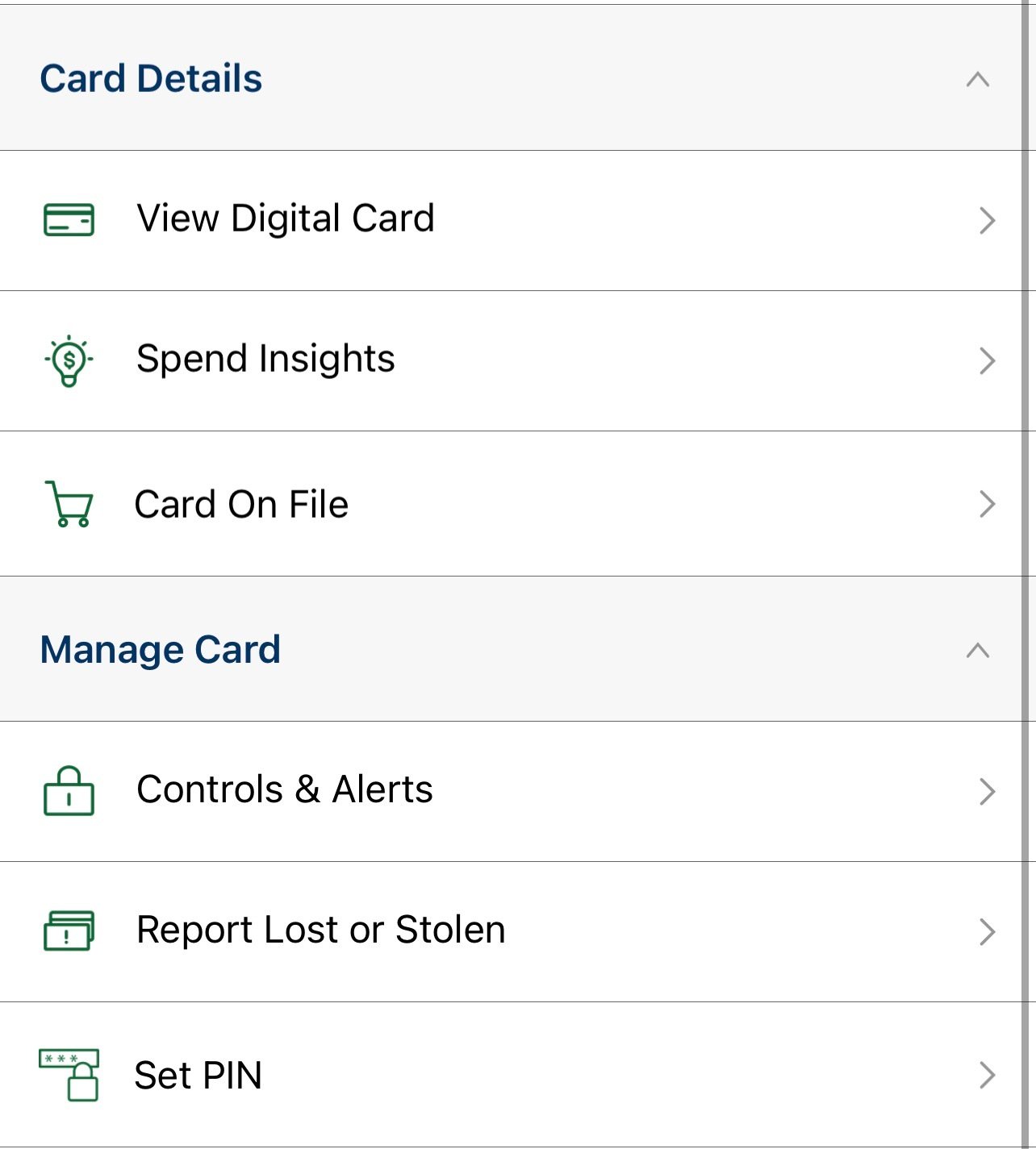 Card Control Menu options
